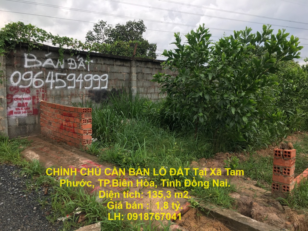 z5738191518026_f0805db168c2fd750c427527141869ef (1)