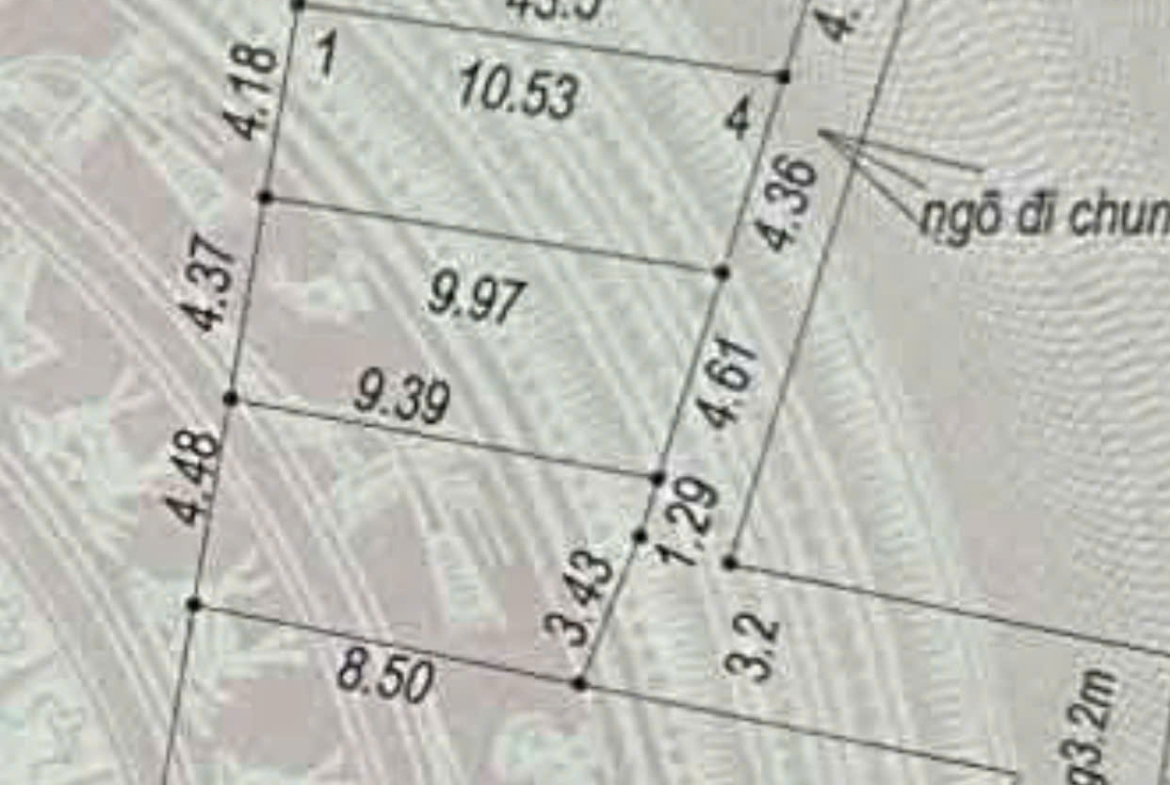 z5739877108292_703af346e4c4692d1ee1703145c123d3