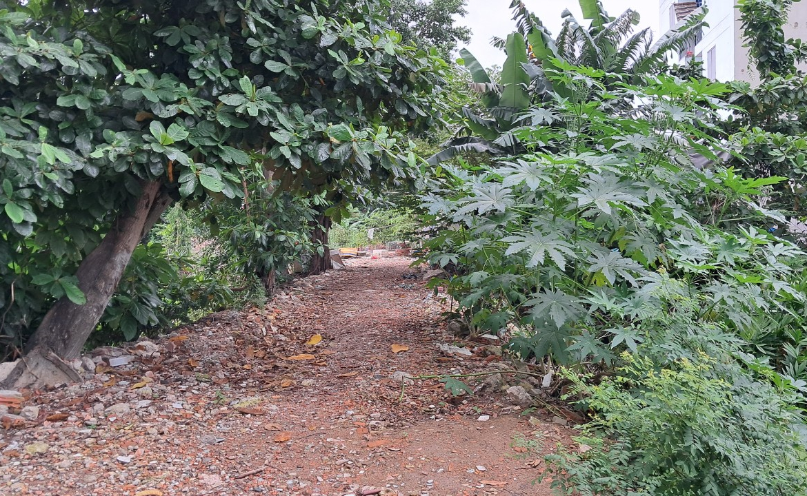 z5739998350679_76ec59e8ad585d076cee29731329ccc5