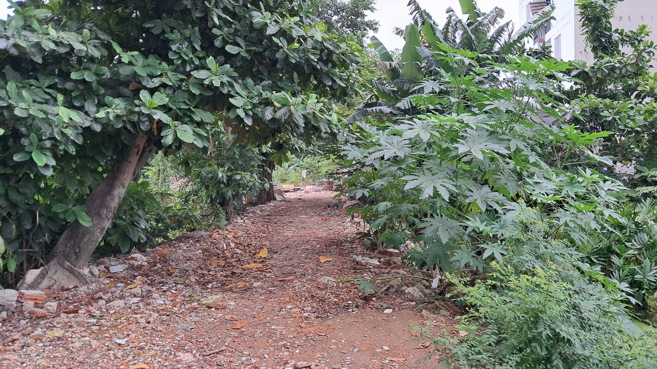 z5739998350679_76ec59e8ad585d076cee29731329ccc5