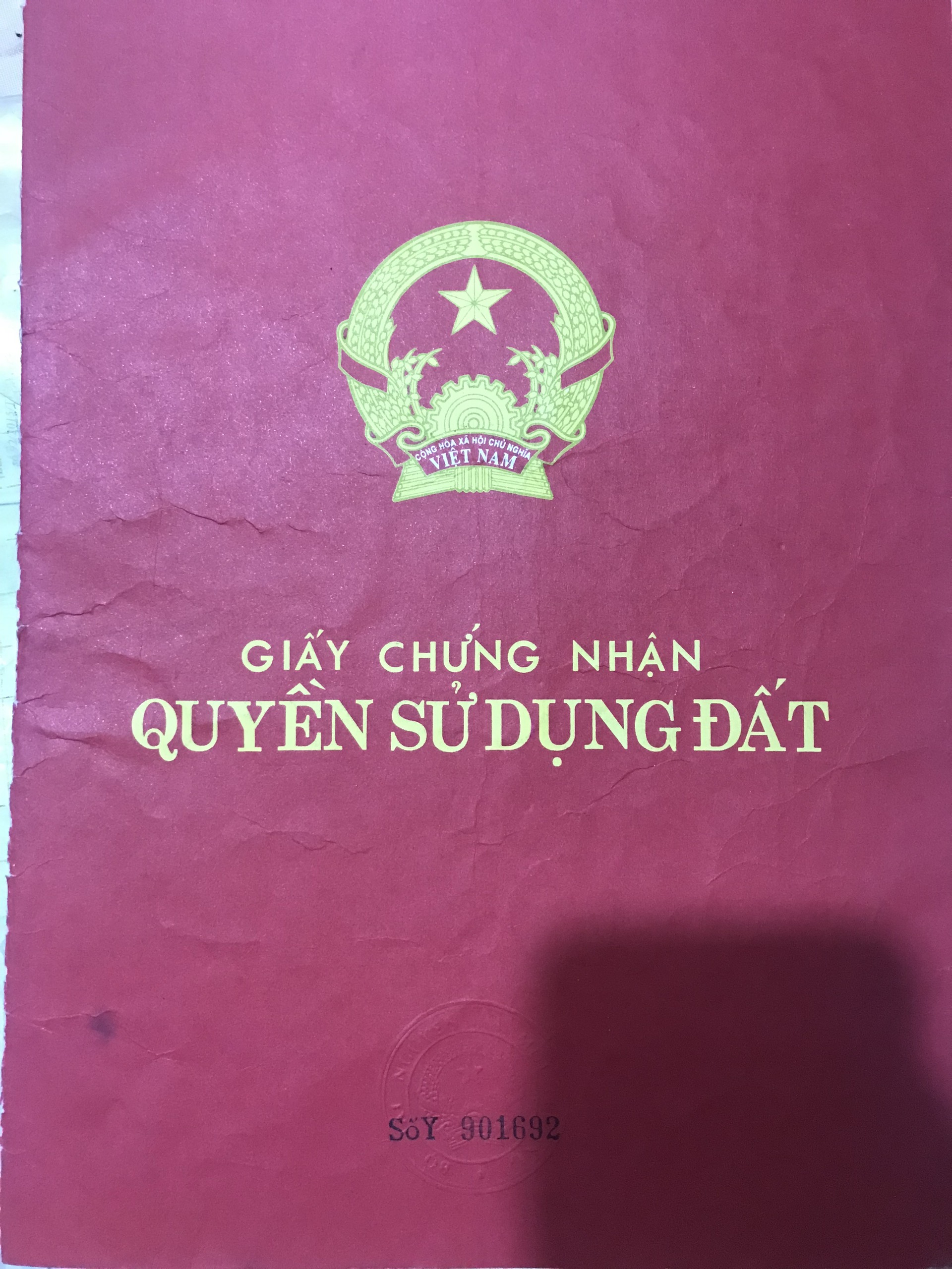 z5740556832328_50297541be108ccad654b9a31ac2d5da