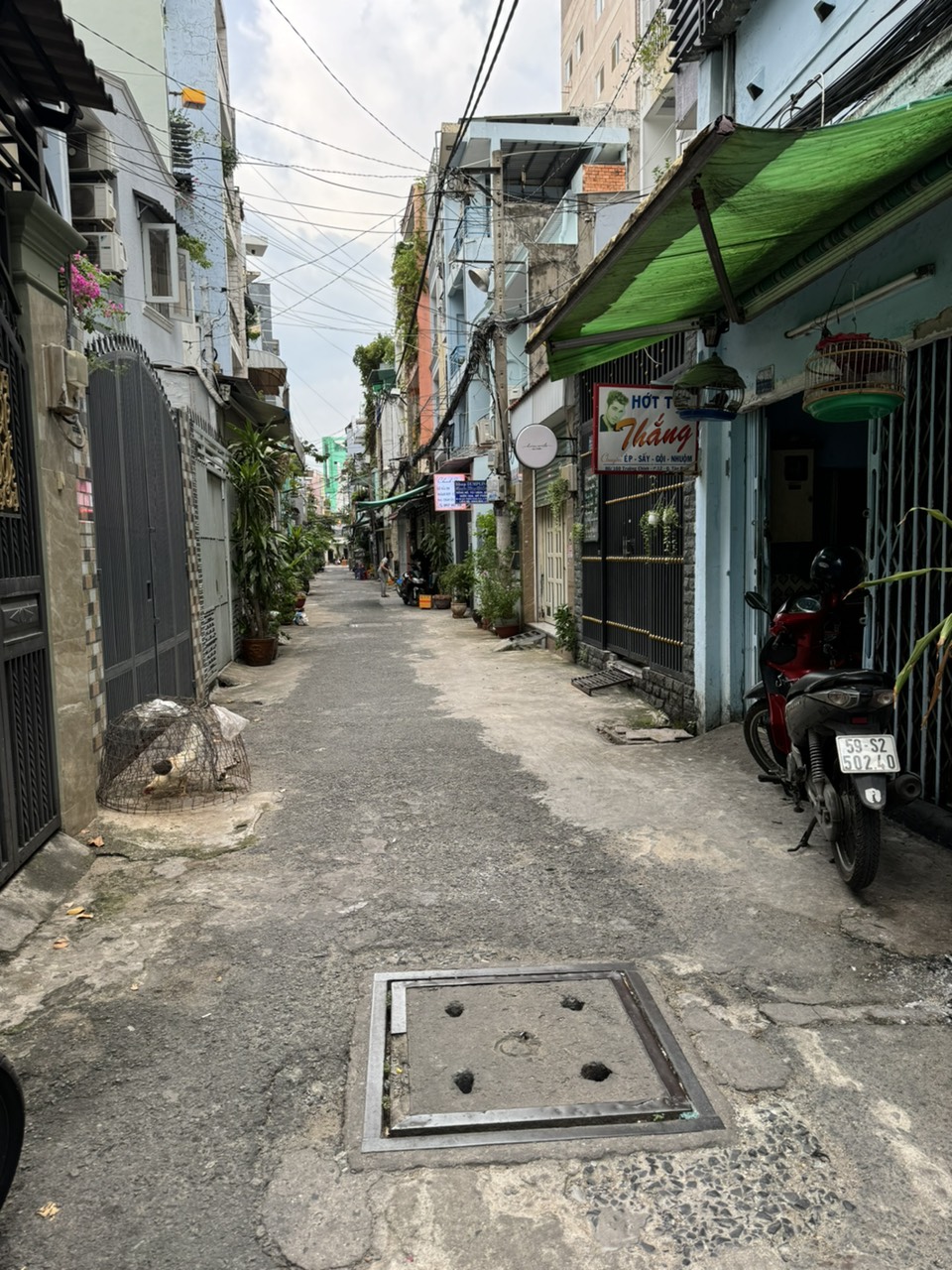 z5740624701371_bd6eb74795d63702ea41f4602b860e82