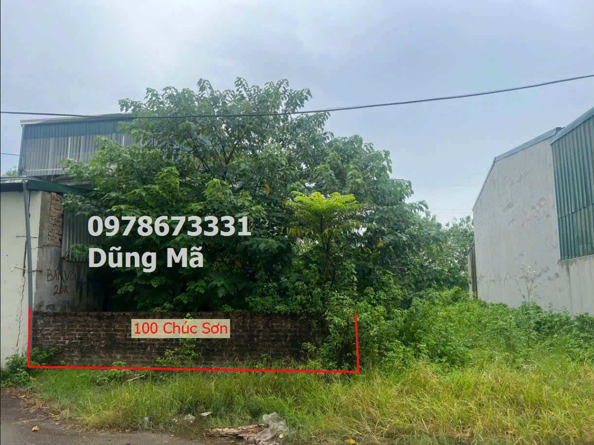 z5742800890456_adb637319debcc46976f2059f5b6ad20