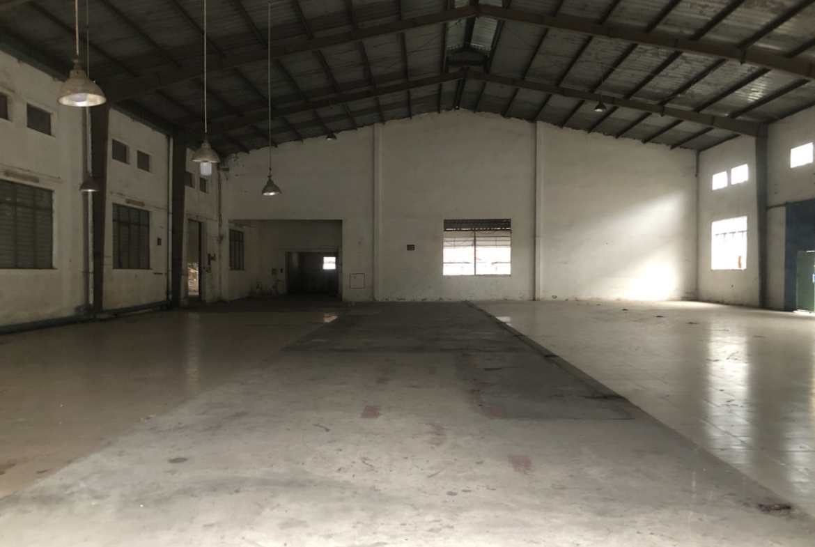 z5742867506013_00aafe2b35f6fede18771888b33d72a4