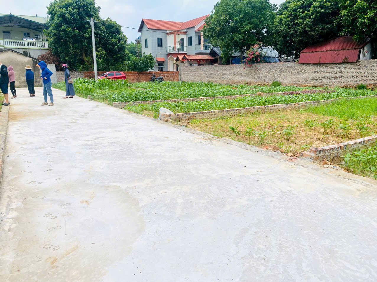 z5743754311606_89e4c0da92b4971ae68b087089b1f785