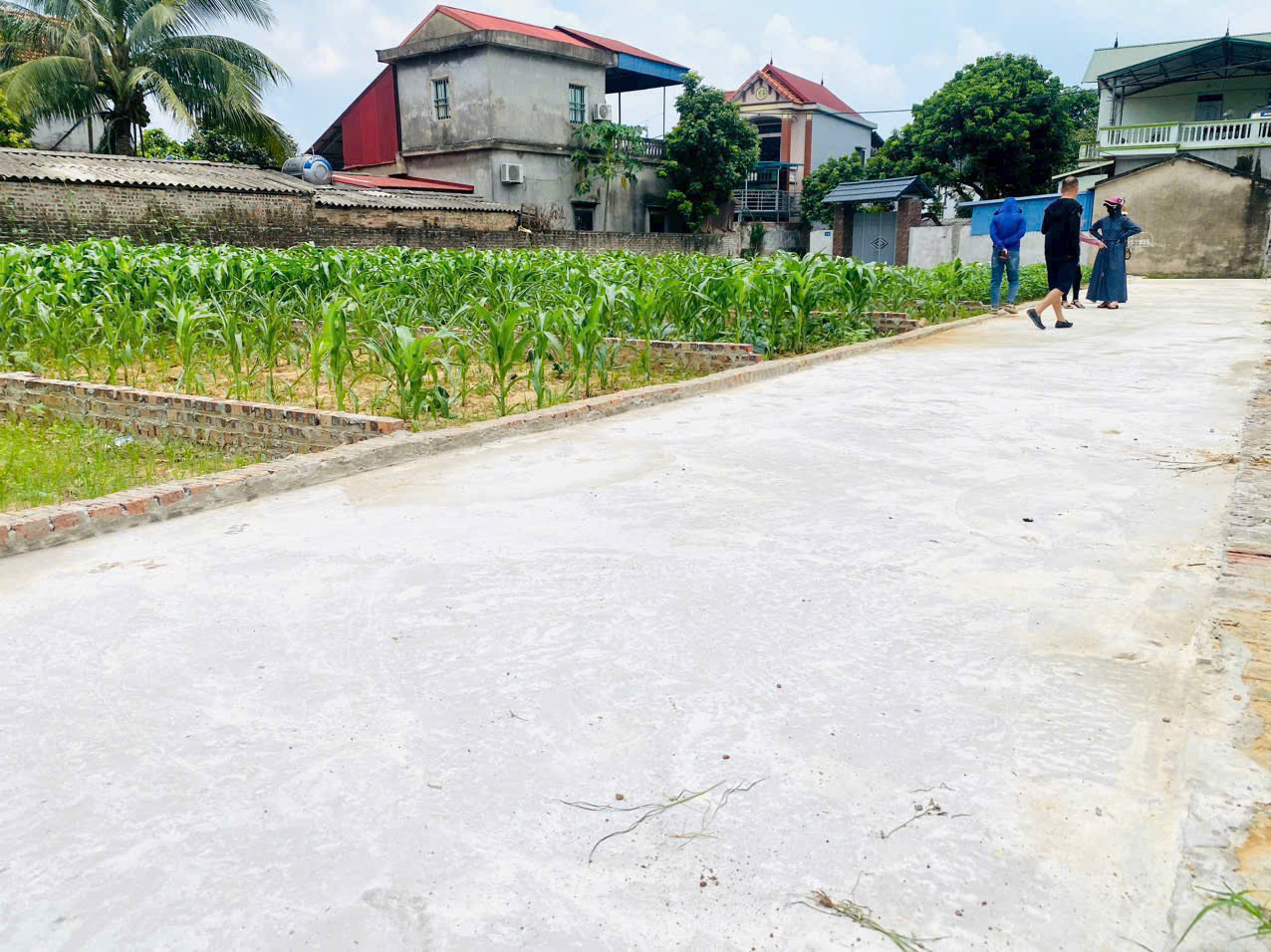 z5743754316929_7ce40a185c361c662154315e2071434f