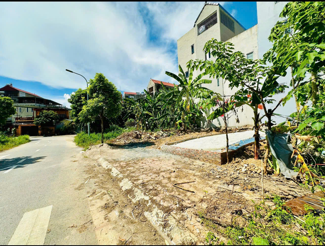 z5744934841566_7d6fddc52d1f161a111a6470410f64b4