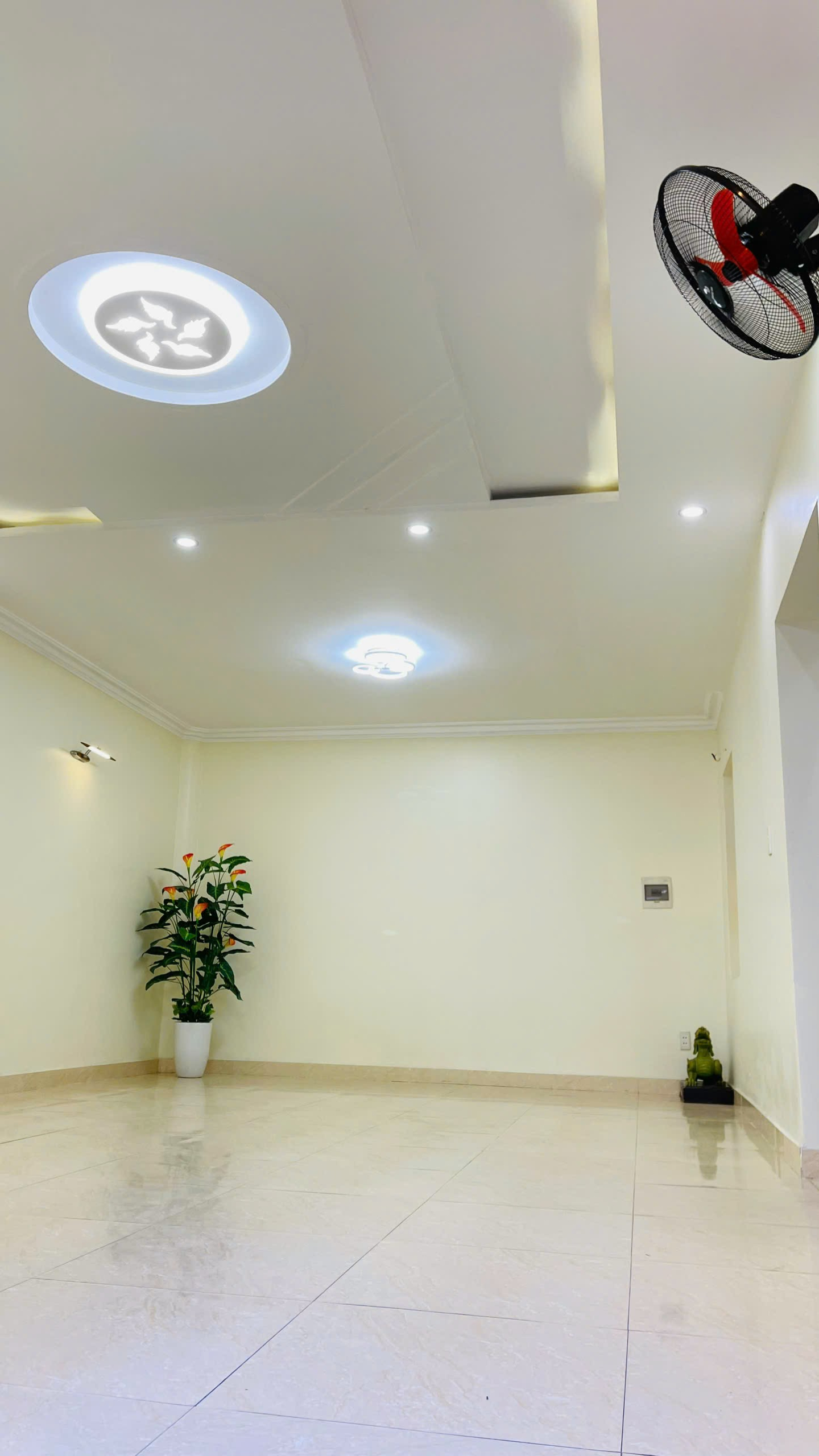 z5745013460674_a64e663526ea719da366e6bd6f6ffb35