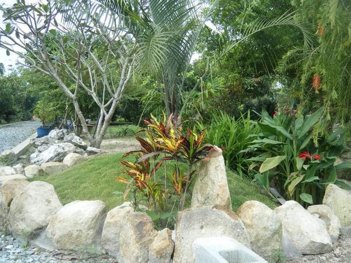 z5745496019554_d0262ce1e7c934c3b4fcd9ae1f2cc73a