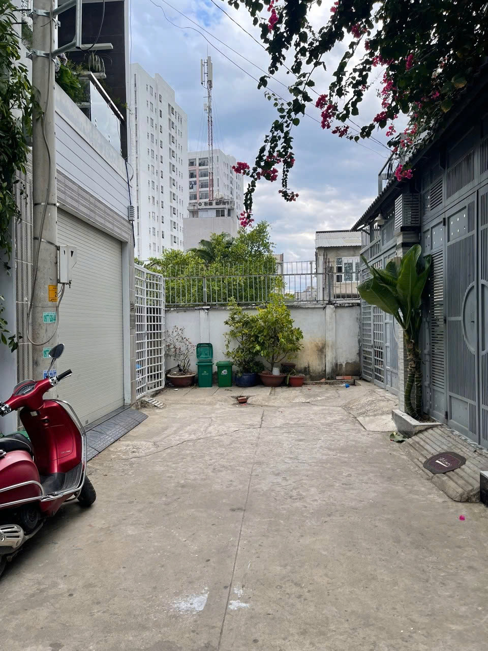 z5745573227879_061ad86bd6e7646b661960ec001eb941