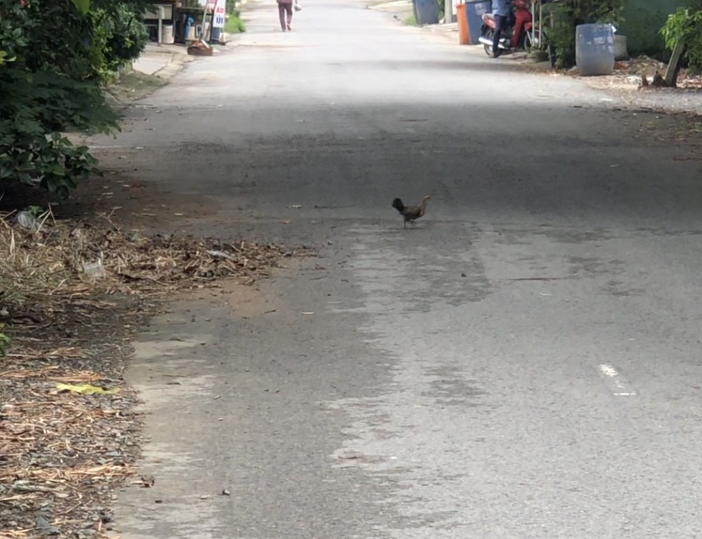 z5745872969325_2db0170f34c314604c66afe7d4348c32