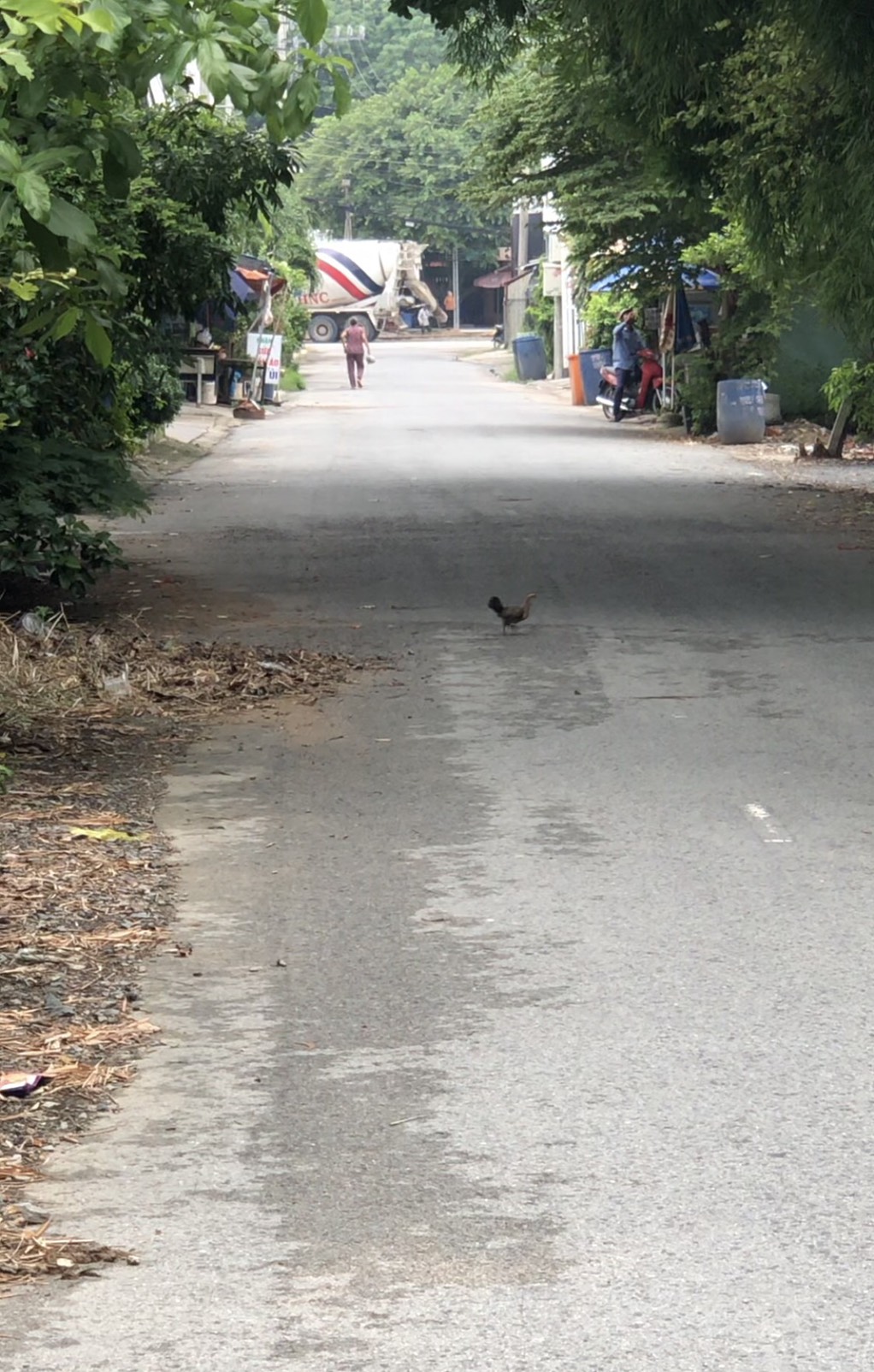 z5745872969325_2db0170f34c314604c66afe7d4348c32