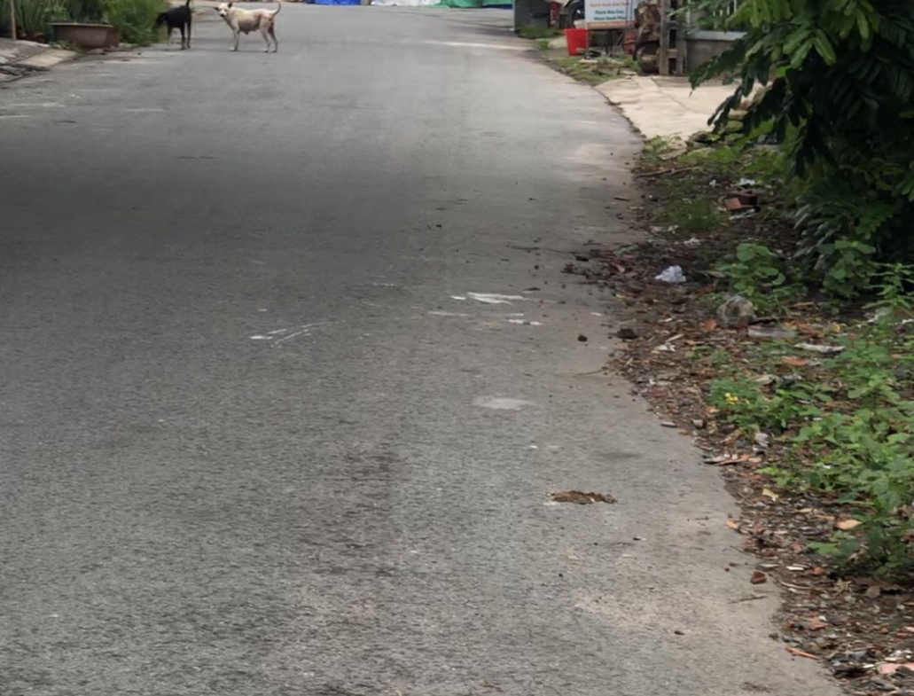 z5745872983776_7611fd504e87c91b63d34348a167f5ac