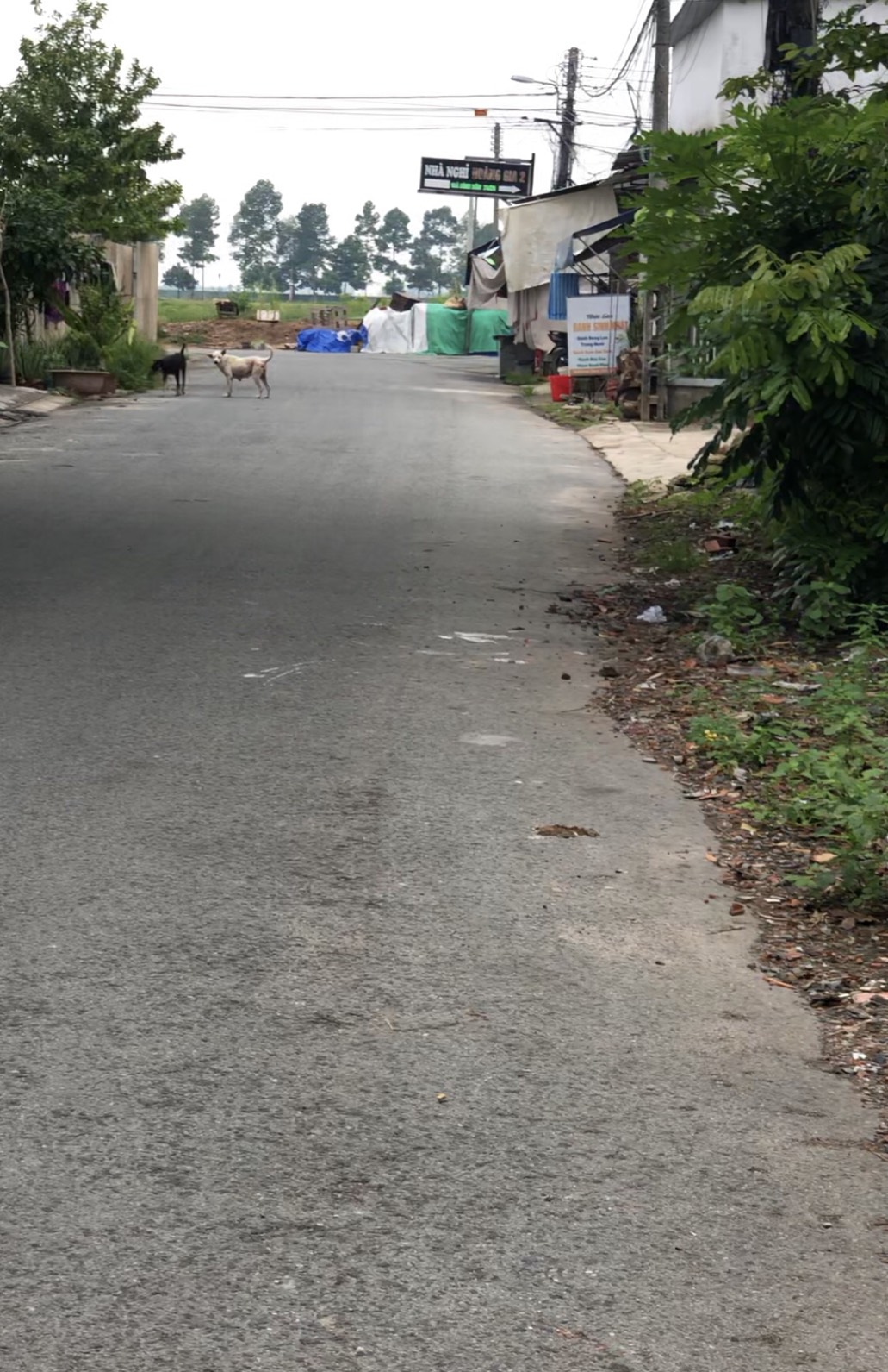 z5745872983776_7611fd504e87c91b63d34348a167f5ac