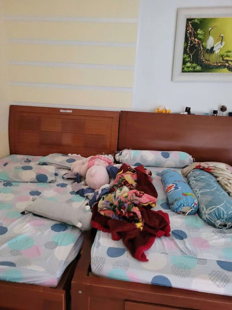 z5746155784277_473573b76c9c489dae81c7b2abe28255