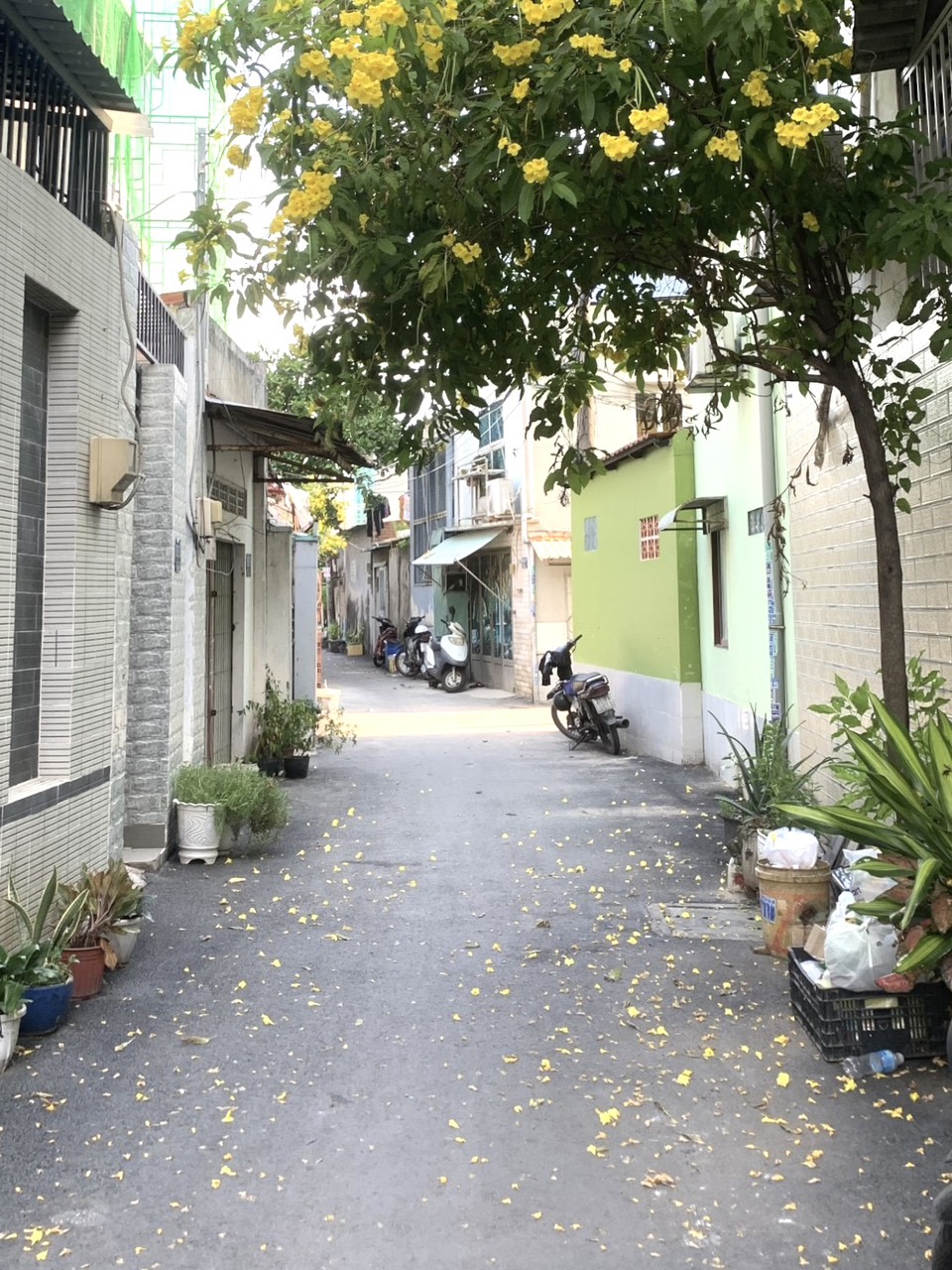 z5747108827909_ec14021f322d8e2c4a4d128261d11033