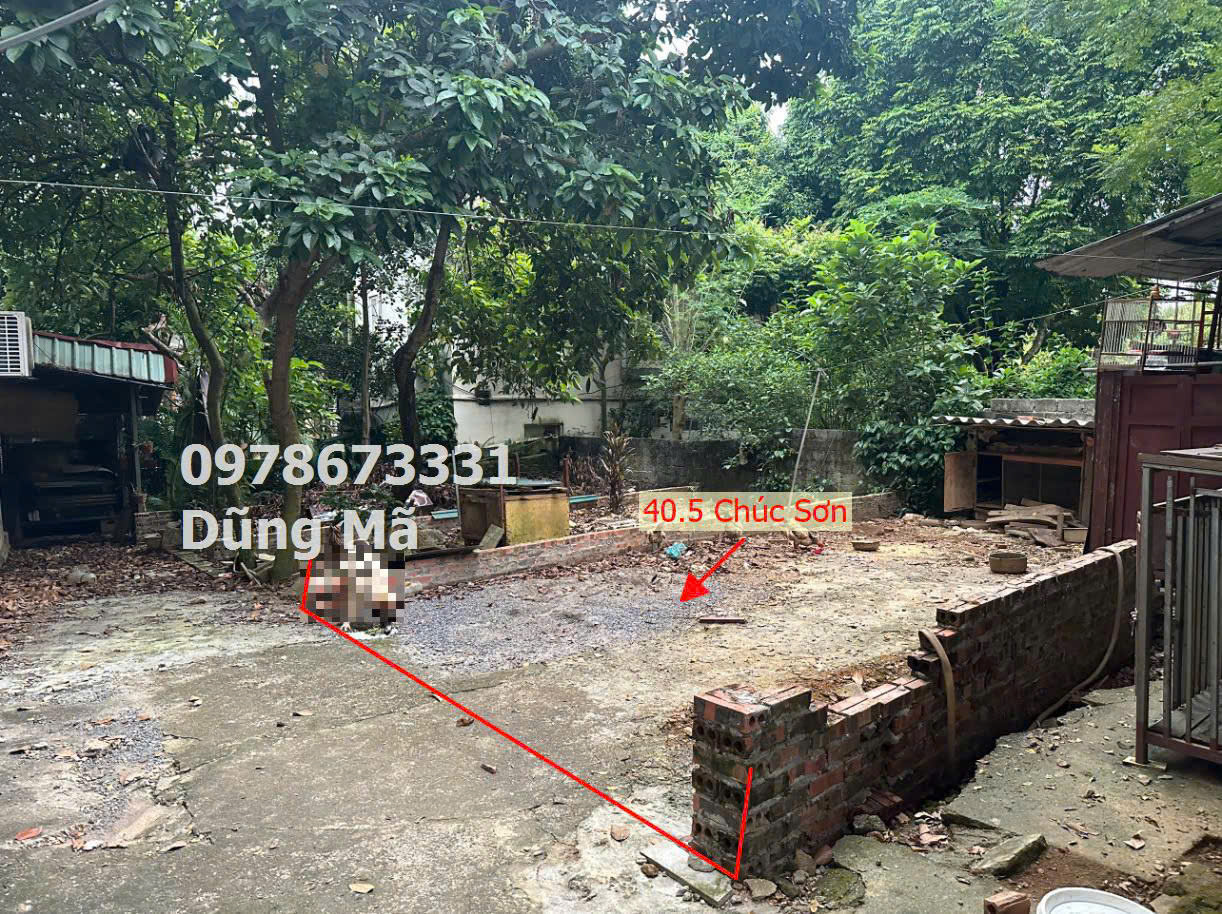 z5748888163957_aa1f629e4d15cbd5185e3c3abaad83f9