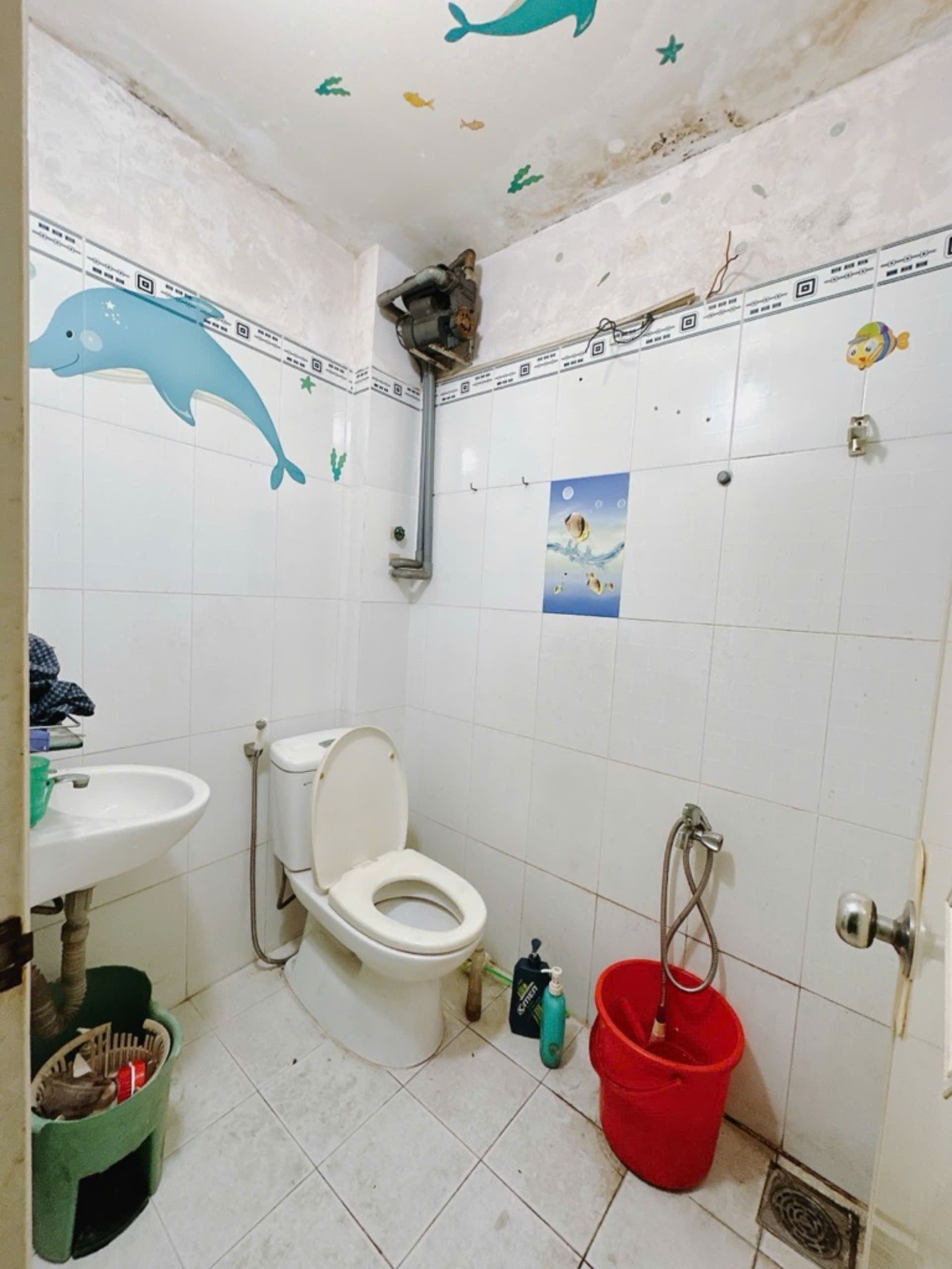 z5748959899820_041488fdf0bfa2749fbcb49ac1375e27