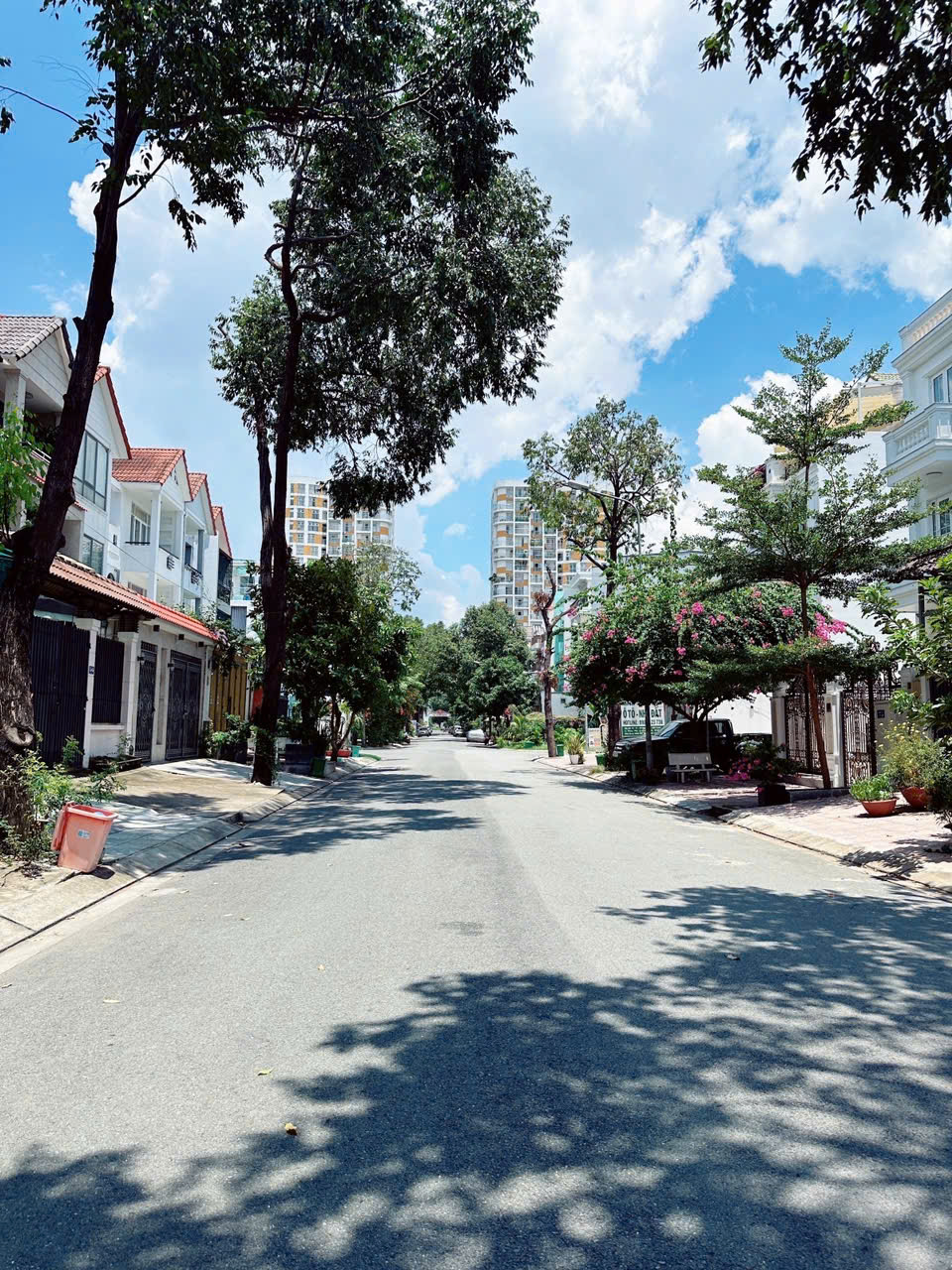 z5750204573074_26785cea842e1cecd5b23215fb8fbb0c