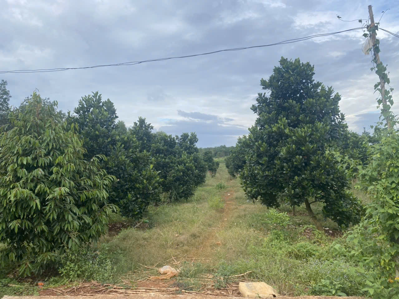 z5755182106625_68c6d9226279f042b1dac23638e1d6de