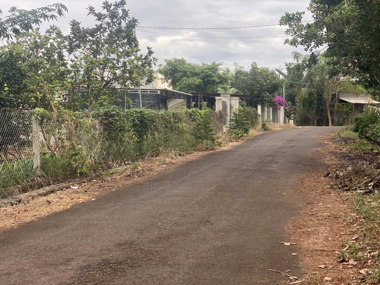 z5755182570729_e2cd27e3f10792e47fe8787be432c96a