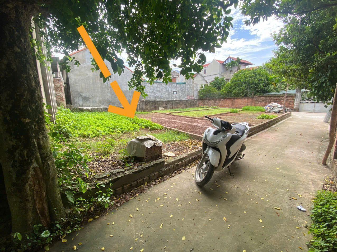 z5755553311183_08354ba364ae3bd20b2c4d63ff90c11f