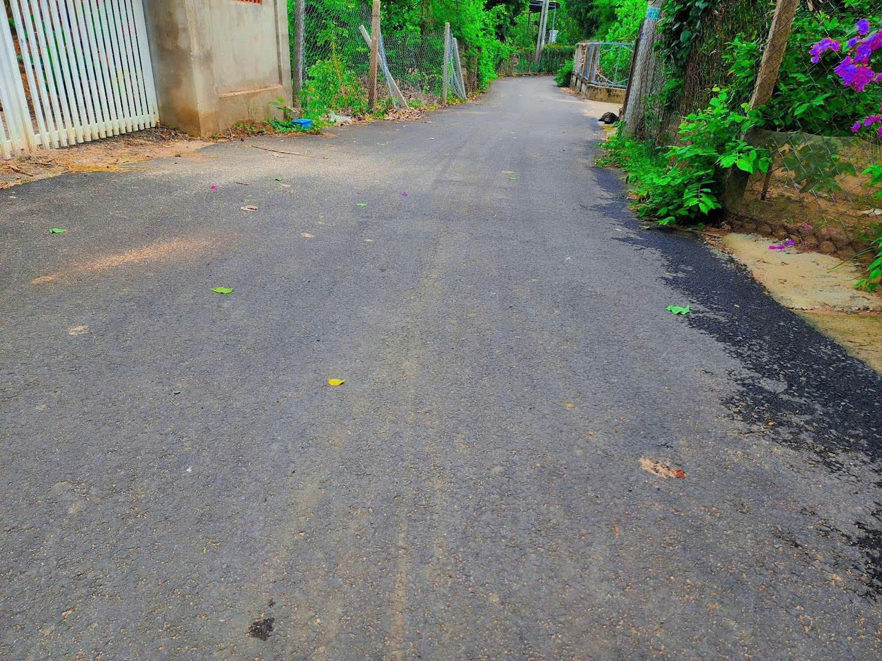 z5755591167216_945faa78533e764960471a16a7a391ea