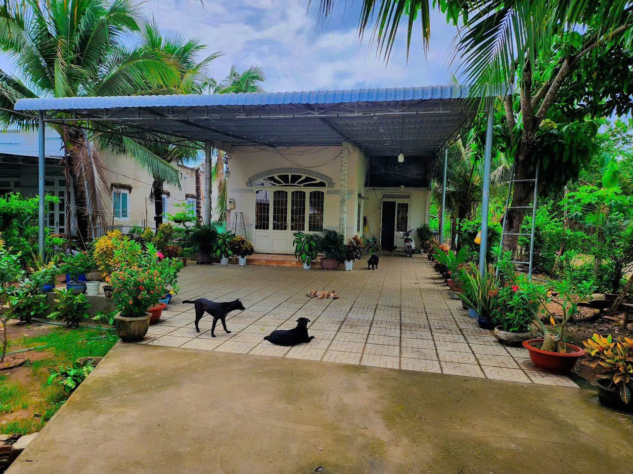 z5755591170196_a9750f671d4341f76f53456001661f63