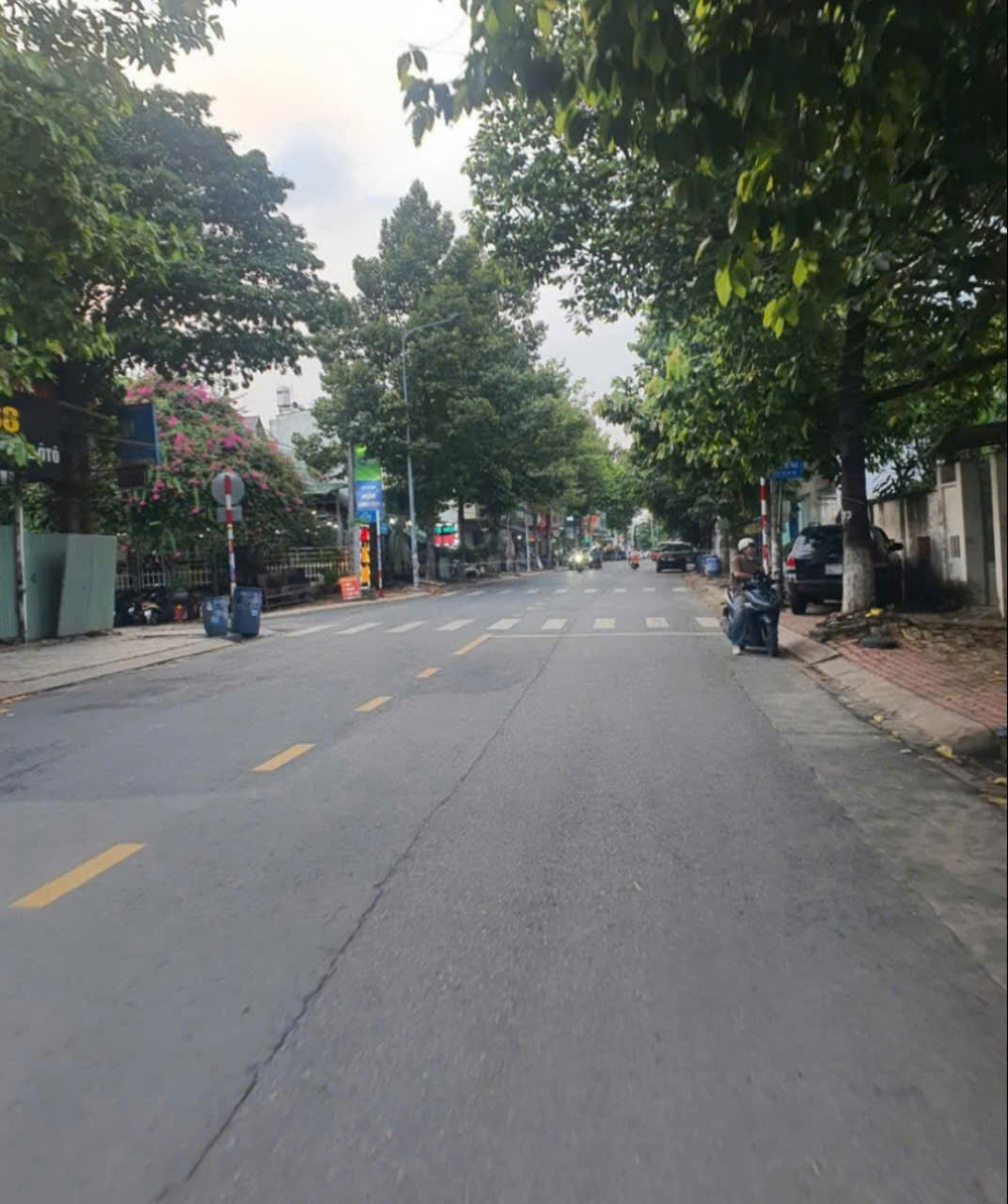 z5757696857348_dfaffbdb2a6e5ef351b60796ef5a735d