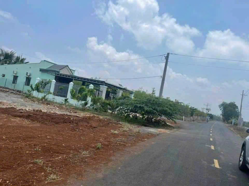 z5758033080251_029fcb9da700354dd8fcfc7c9feba067