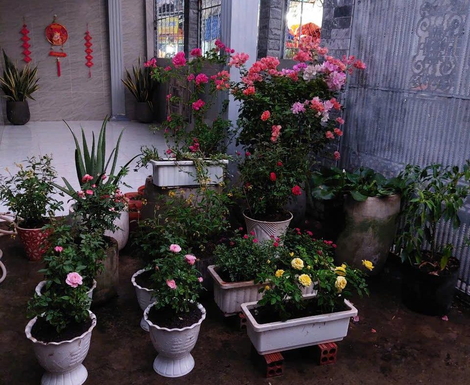 z5758219766180_1bd840f583ff8003cc8bc49781598375