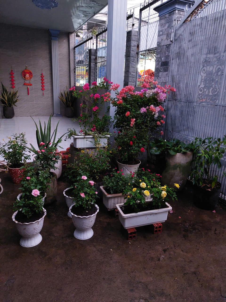 z5758219766180_1bd840f583ff8003cc8bc49781598375