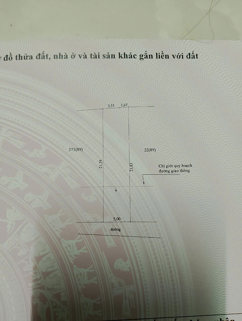 z5761096226212_d194f26b67e415dfd9e0b365c32fe889