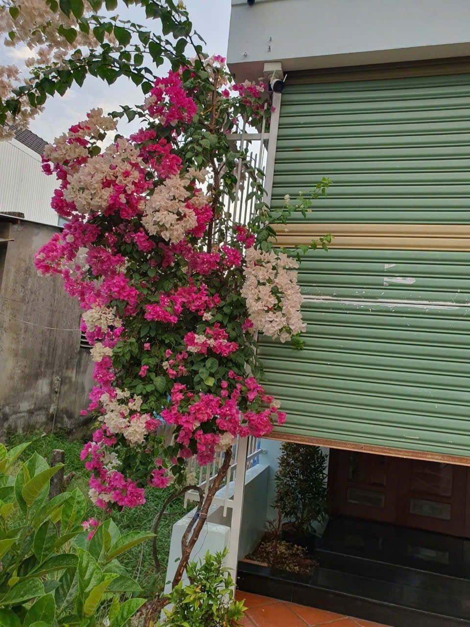 z5761321579620_a995ebd1d3e21d05584672de10b45fa2