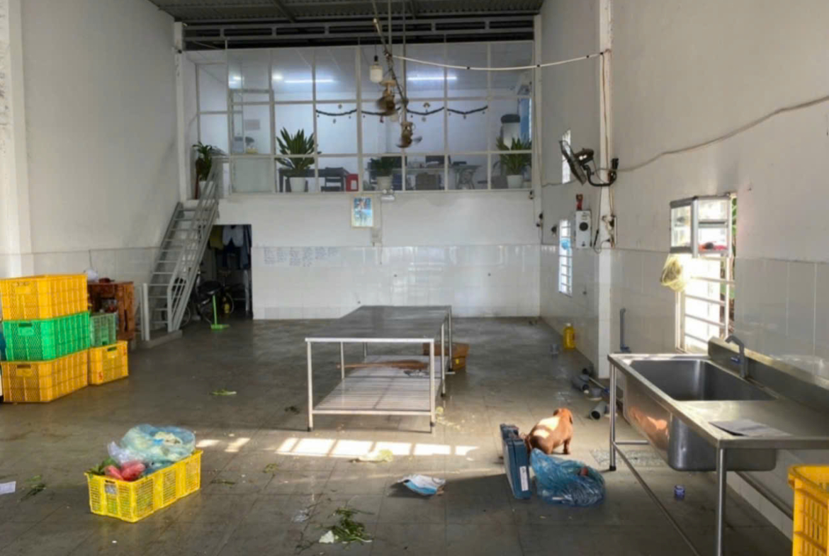 z5762595000230_27529b17ecc1a7c8f0eb23c413d5682b