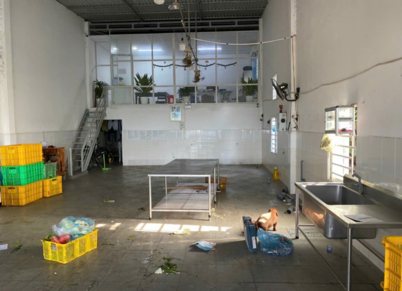 z5762595000230_27529b17ecc1a7c8f0eb23c413d5682b