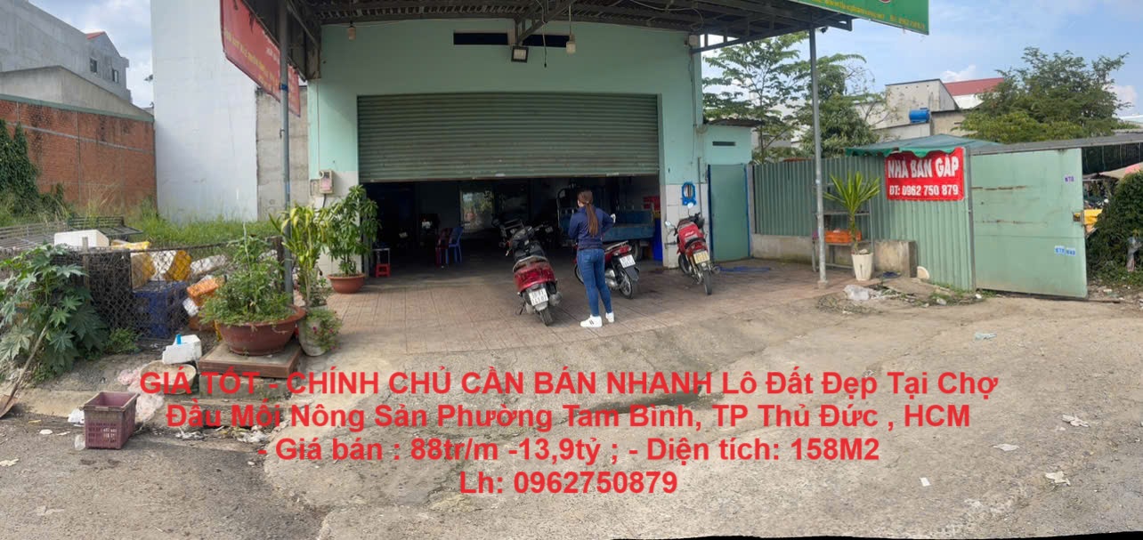 z5762595003537_fb5ed390ed0638d9d408e3596fefbf4