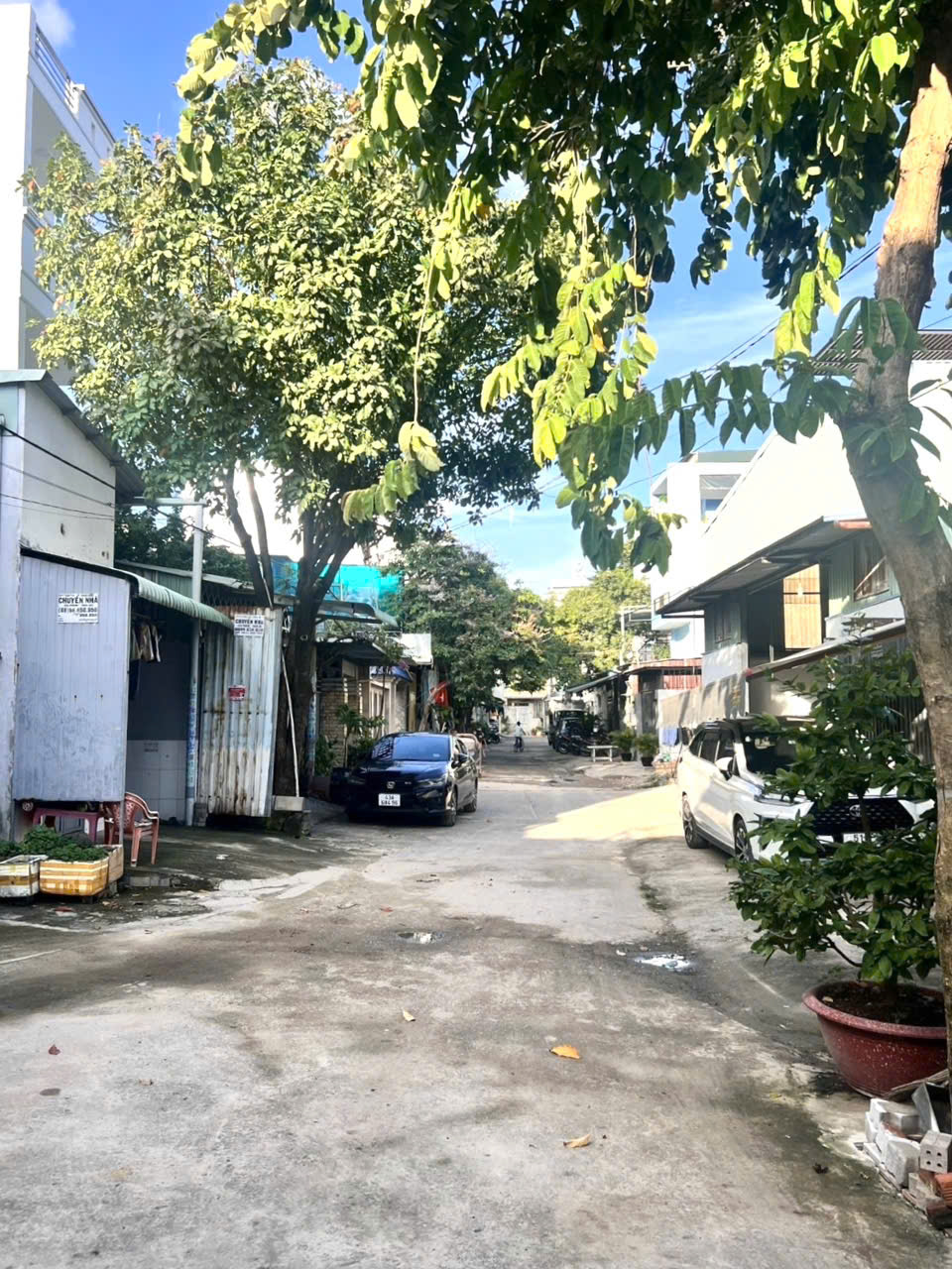 z5763618395984_aa80e6e0cbfcc7b99e4535e32417d6a0