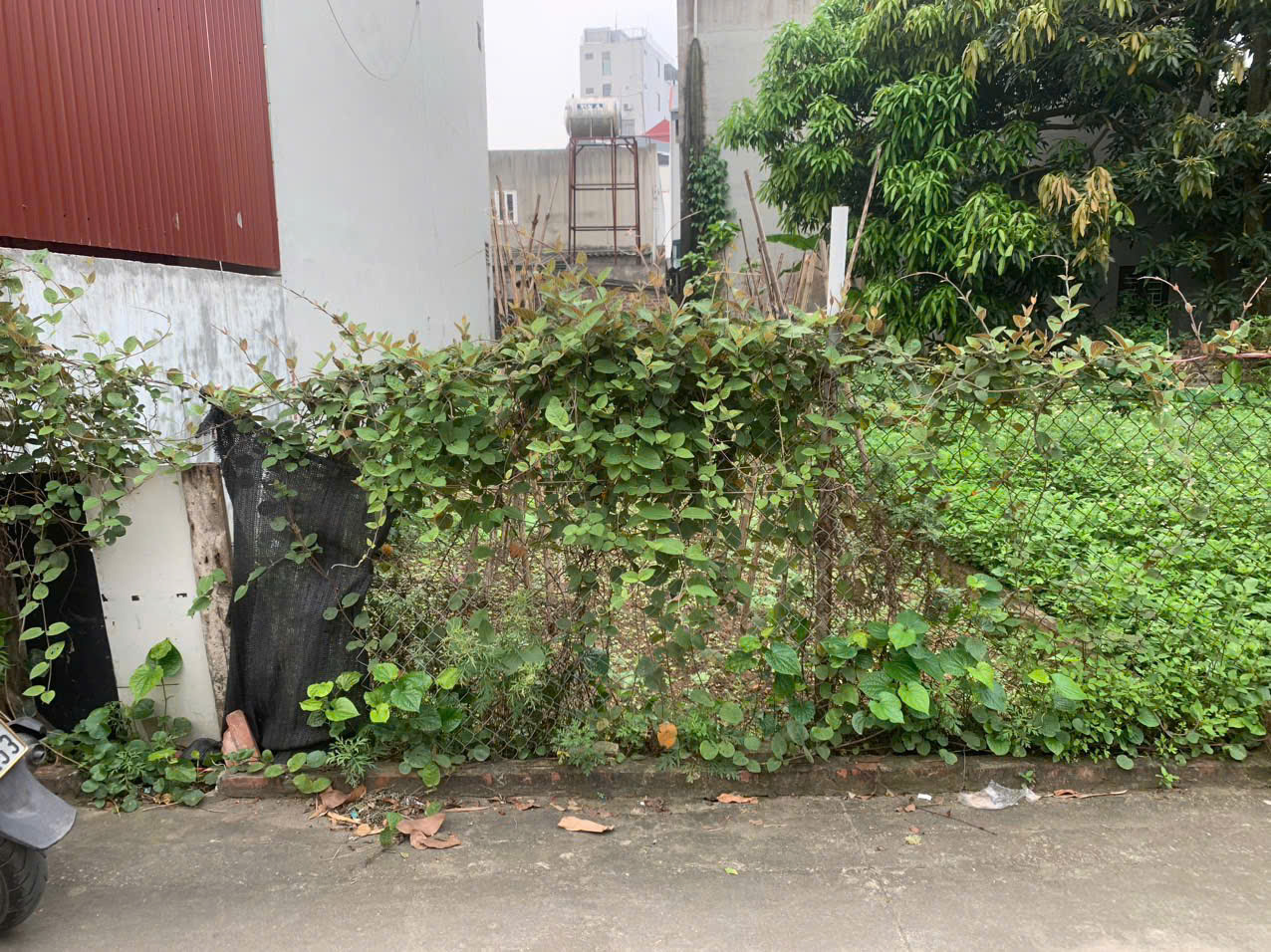 z5764030976431_9441952299f3153b0b02e50821bc6668