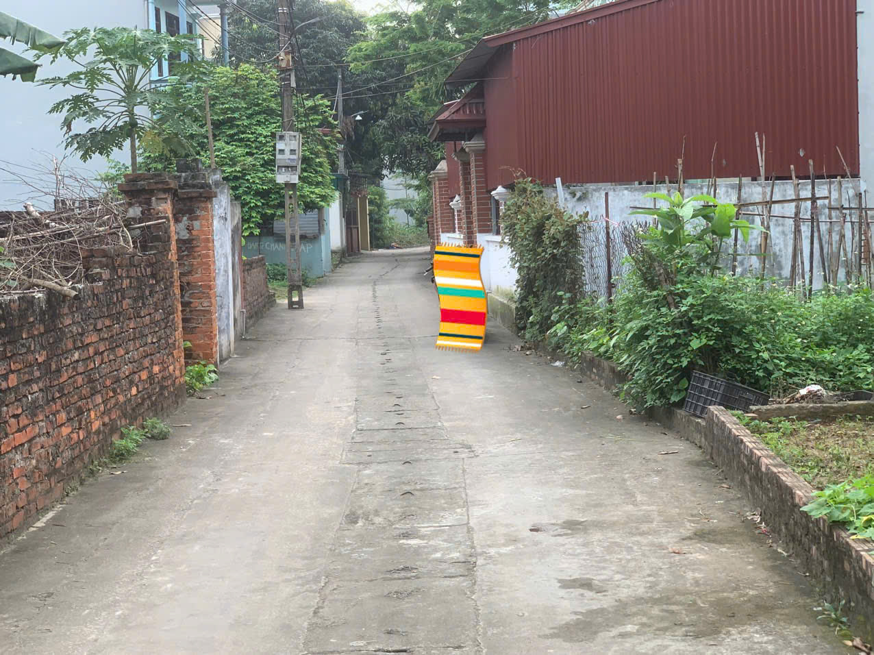 z5764031113772_968985709e49bb756e2b66d2e333d941