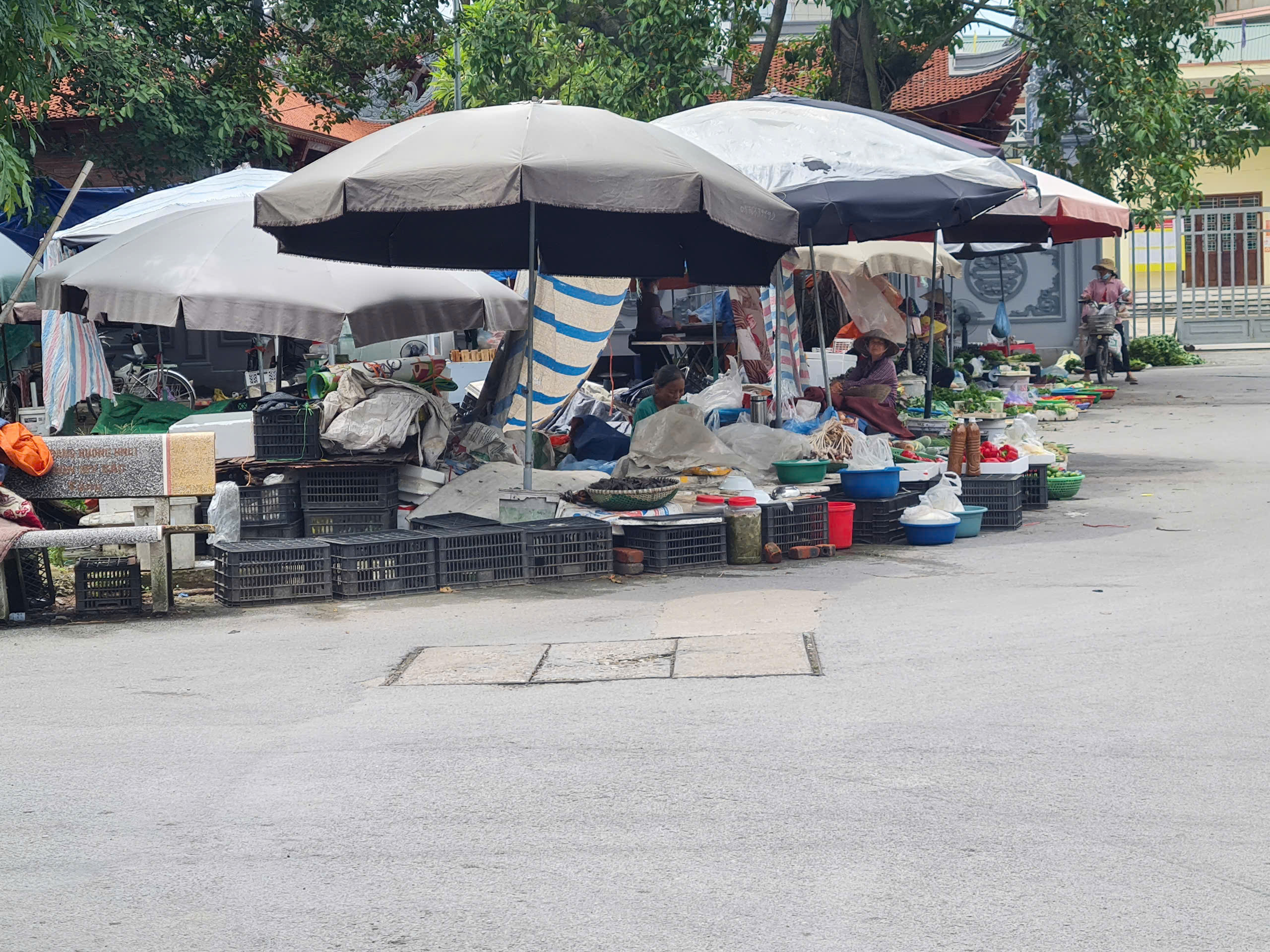 z5764585120570_62a30830638492ff6514b3d776324172