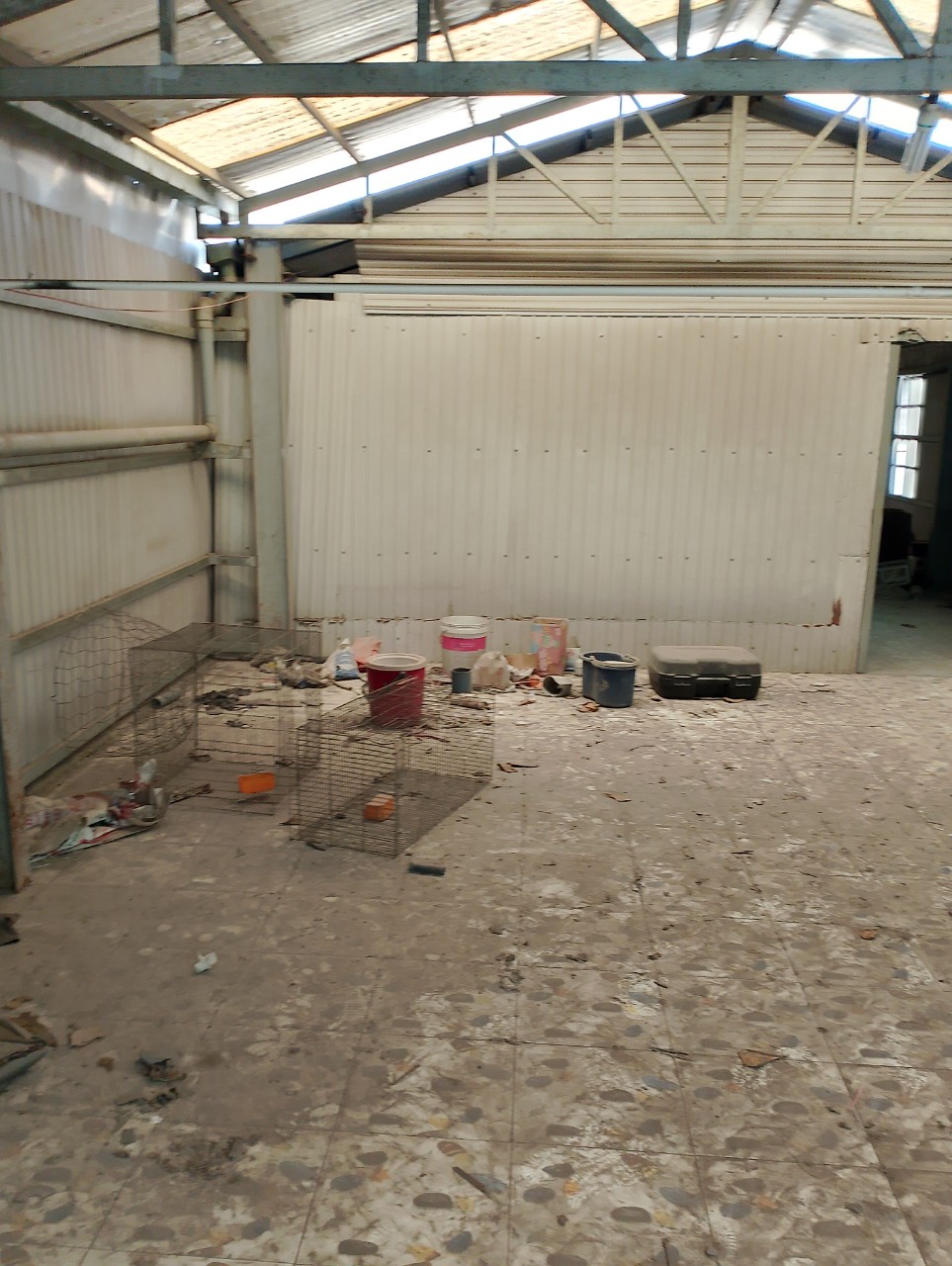 z5764688675719_e58ddaff5b59ac1688d0b676106e218c