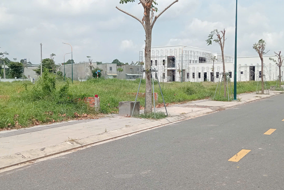 z5764795056362_ee001d8d1b7ad27018ec1b07c546a841