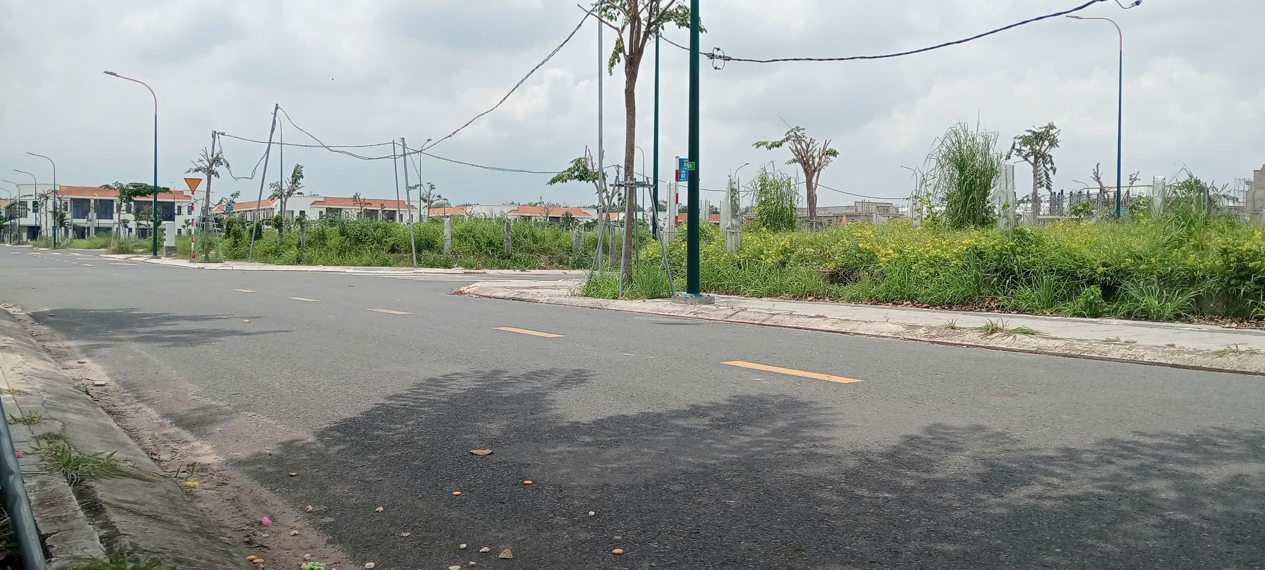 z5764795065708_ce842020c22a41abdeaba7f111c40239