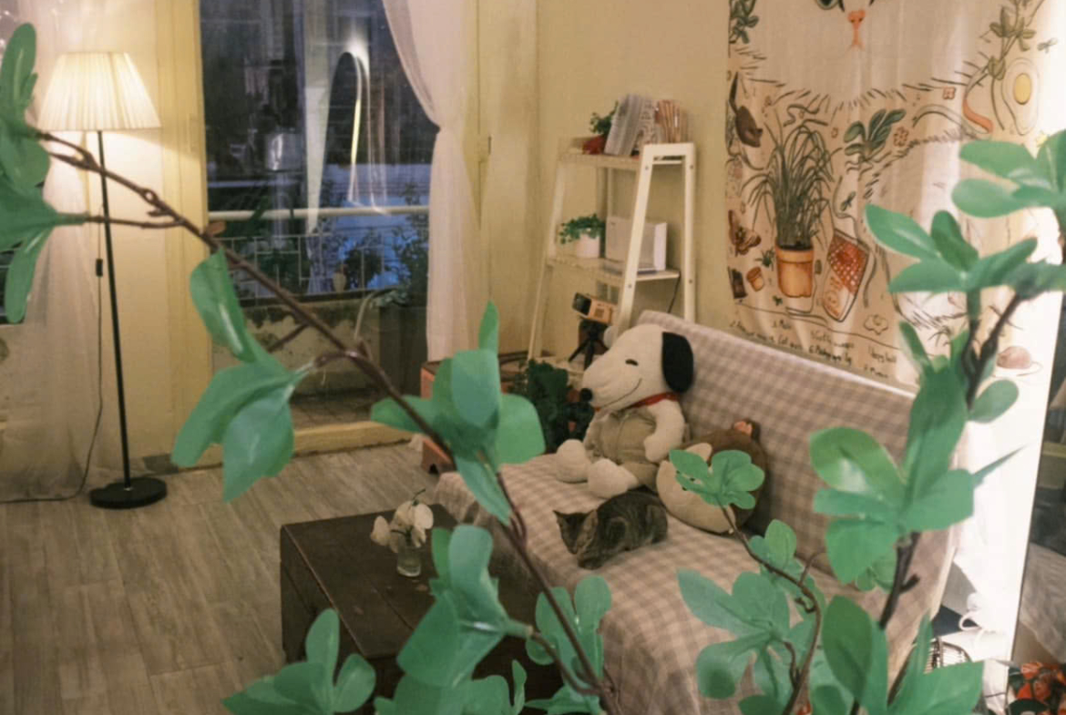 z5767351378201_d9bf4a8ec84f33dbff35e4805fc54751