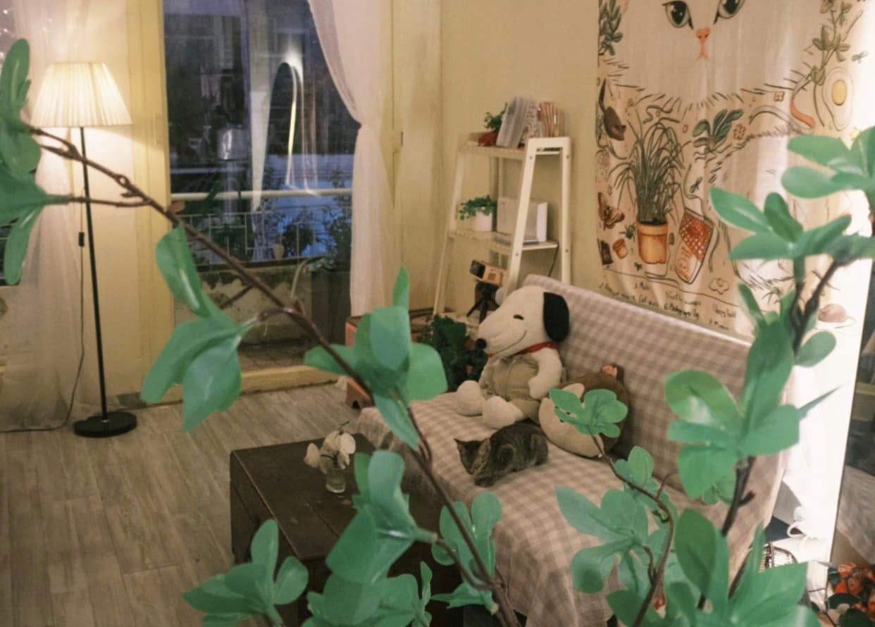 z5767351378201_d9bf4a8ec84f33dbff35e4805fc54751