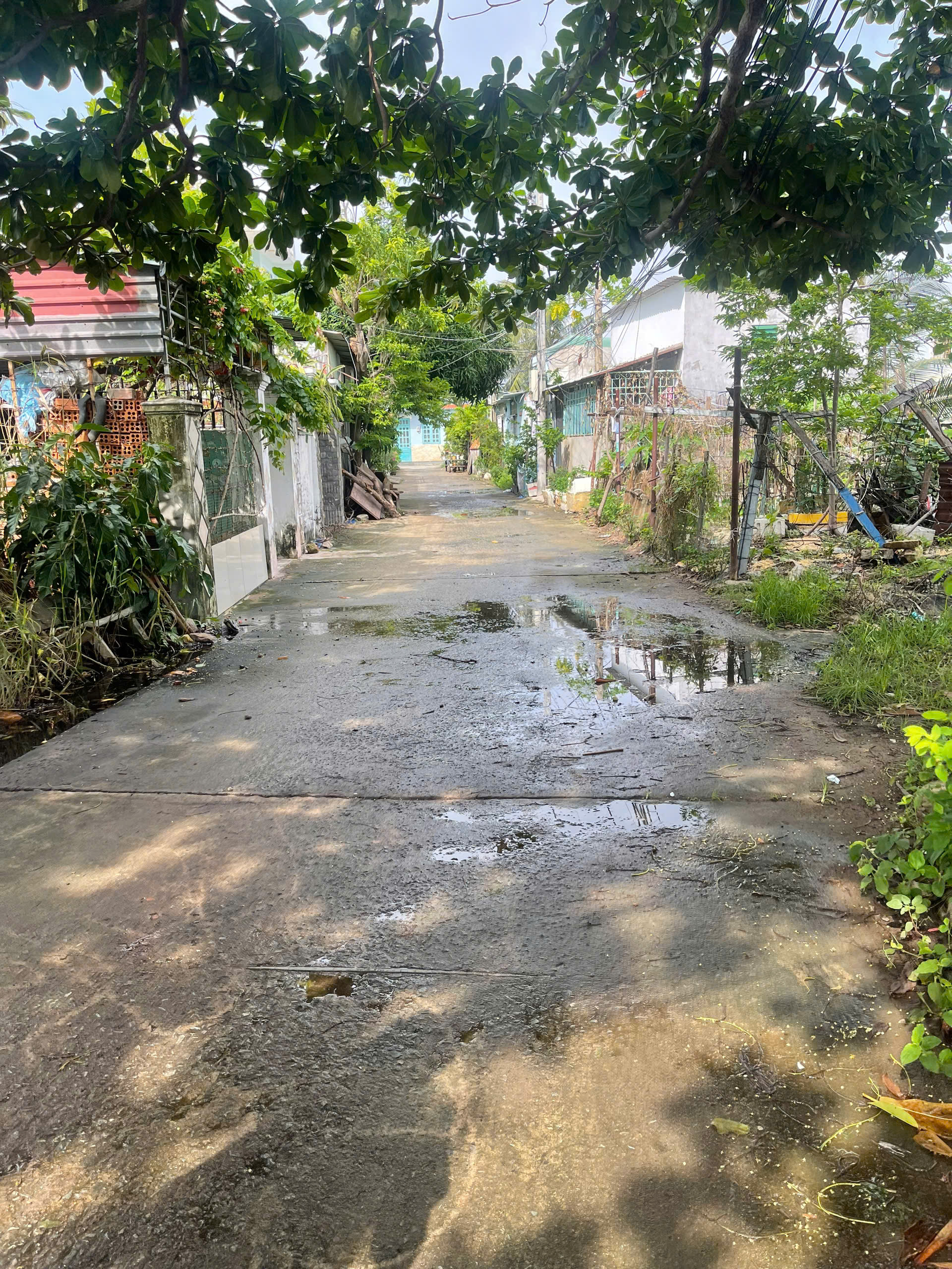 z5767966826442_25dd935845335cecf2994ca4286b67be