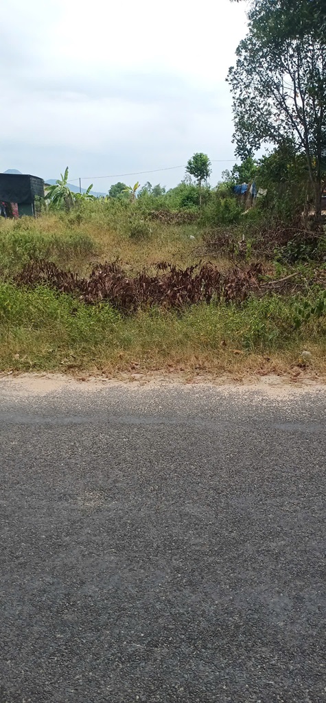 z5768665044422_3fae1fcc5ba8b95e9e5b048d89f59916