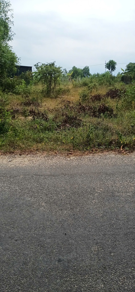 z5768665061037_6d9fef8fd105f90acdf790c691a9b93c