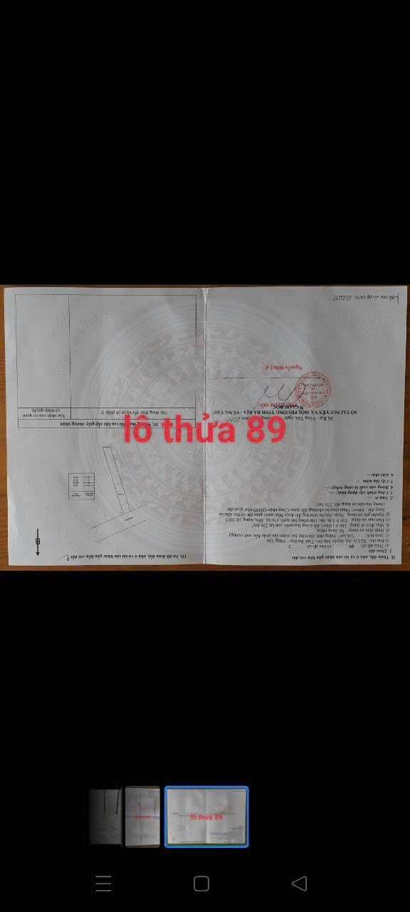 z5769167806821_8d1b4f62a30db41fe5983129ec523025